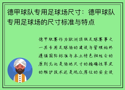 德甲球队专用足球场尺寸：德甲球队专用足球场的尺寸标准与特点